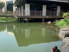 -上海怡沁园度假酒店