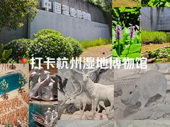 -中国湿地博物馆
