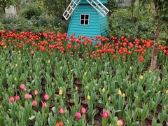 -南宫五洲植物乐园