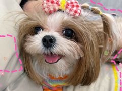 -和它·交个朋友·狗咖猫咖(爱琴海店)