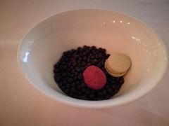 -蝶舍·MAISON PAPILLON