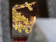 -龙华寺