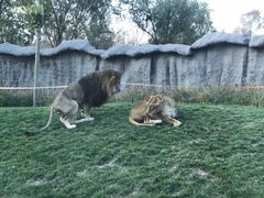 -北京野生动物园