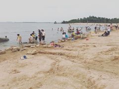 -瑶湖郊野森林公园