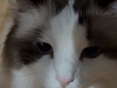 -白兔子密室(长寿路店)