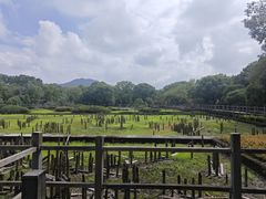 -河姆渡遗址博物馆