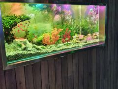 -秦皇岛新澳海底世界