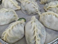 -小叶大馅饺子城