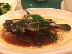 -外沙疍家棚酒楼