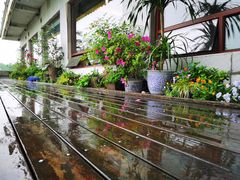 -湖畔居茶楼(湖滨店)