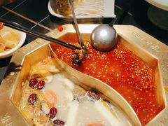-蜀九香火锅(彩虹店)
