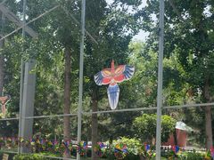 -南宫五洲植物乐园