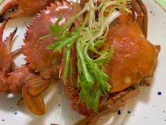 -南山酒肆(南山董事绘店)