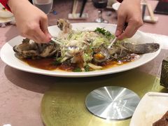 -金燕岛潮州酒楼