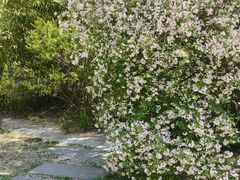 -济南植物园