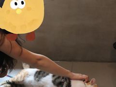 -Again Coffee Roaster(香蜜湖店)