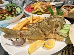 -ELI FALAFEL Lebanese&Mediterranean黎巴嫩美食(富城路店)