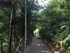 -梁野山景区