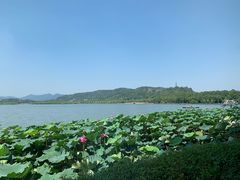 -湖畔居茶楼(湖滨店)