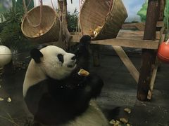 -无锡动物园·太湖欢乐园
