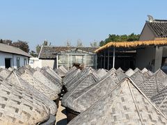 -苏州市吴中区光福窑上花果蜜饯厂