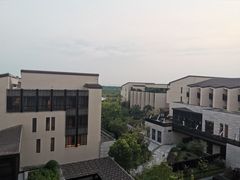 -上海崇明金茂凯悦酒店