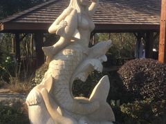 -天目湖涵田半山温泉
