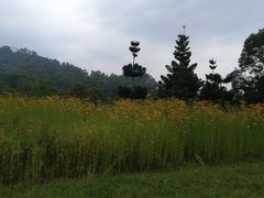 -福建鲤鱼洲酒店