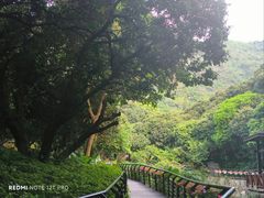 -月亮湾公园