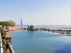 -上海吴淞炮台湾国家湿地公园