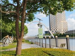 -陈家山荷花公园
