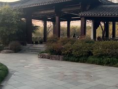 -日出青木