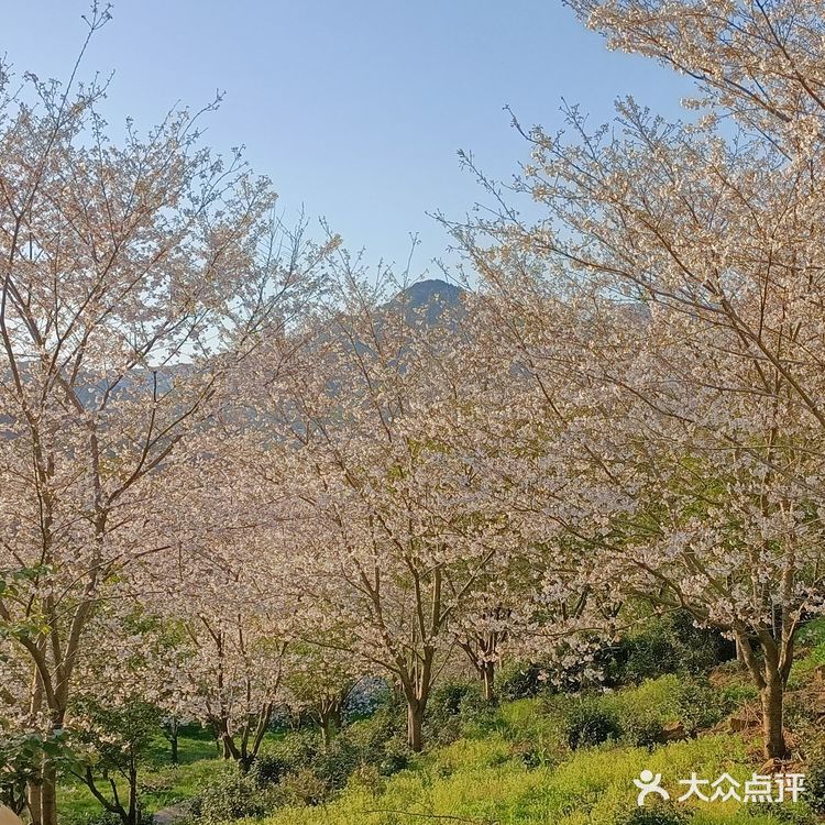 趁着蓝天去就对了