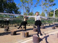 -武清南湖绿博园