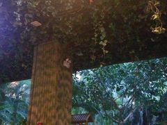 -金隅凤山酒店