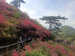 -木兰云雾山
