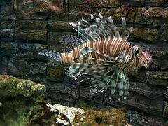 -北戴河圣蓝海洋公园