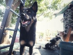 -汪记鲜鱼糊汤粉(沈阳路总店)