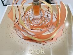 -DIOR迪奥(德基广场女装店)