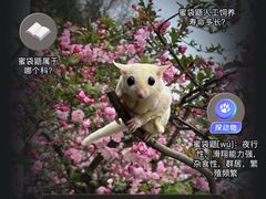 -嘉定紫藤园
