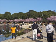 -新江湾城公园