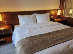 -广州白天鹅宾馆