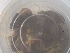 -荣品荟·融合餐厅(月湖广场店)