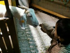 android_upload_pic-上海大自然野生昆虫馆