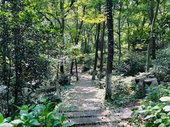 -南京老山国家森林公园