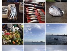 -尼甘布海鲜市场