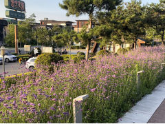 -莫子山公园