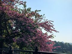 -风云岭森林公园