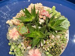 -梨媛花艺设计