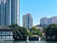 -荔湾湖公园